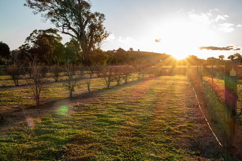 Riverview Farm & Guesthouse - QLD Tourism 3
