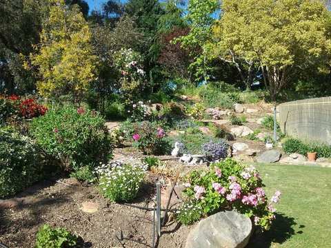 Rose Cottage - Queensland Tourism 1