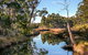 Saintys Creek Cottage - thumb 3