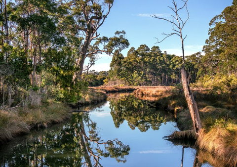 Saintys Creek Cottage - QLD Tourism 3