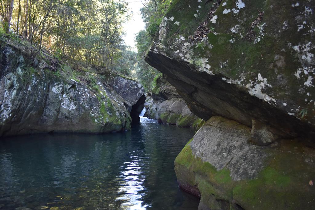 Salisbury NSW QLD Tourism