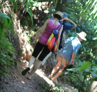 Sanctuary Retreat - QLD Tourism