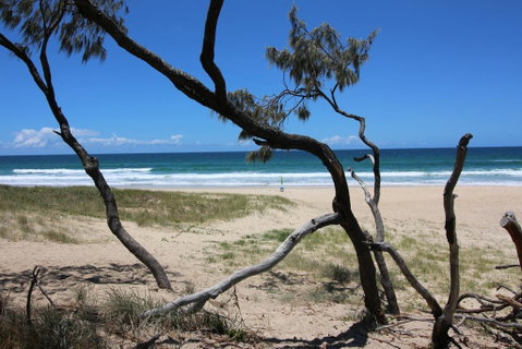 Sea-Hi - QLD Tourism 2