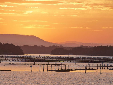 Seahorse 4 - QLD Tourism 1