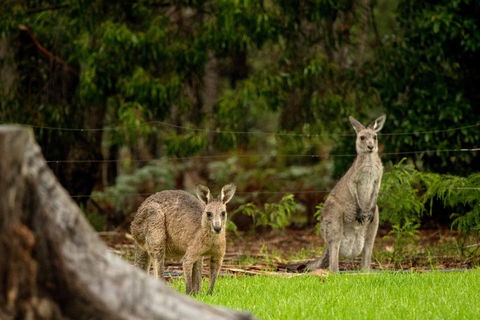 Secura Lifestyle Countryside Kalaru - QLD Tourism 0
