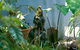 Serenity Guest House - thumb 3