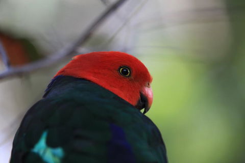 Shalimar - Queensland Tourism 3