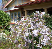 Shelton-Lea Bed  Breakfast - QLD Tourism