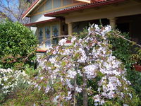 Book Katoomba Accommodation Vacations QLD Tourism QLD Tourism