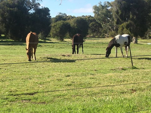 Shetland Park Chalets - QLD Tourism 1