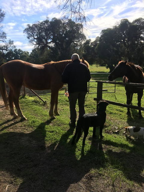 Shetland Park Chalets - QLD Tourism 2