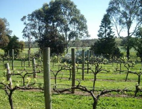 Southern Vales Bed & Breakfast - QLD Tourism 1