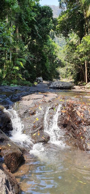 Springbrook25 Upper Apartment - Queensland Tourism 3
