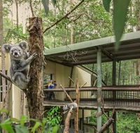 Springwood Meditation Centre - QLD Tourism