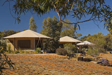 Squeakywindmill Boutique Tent B&B - QLD Tourism 0