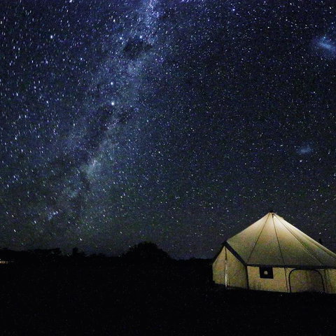 Starfields Luxury Camping - QLD Tourism 3