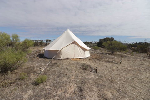 Starfields Luxury Camping - QLD Tourism 1