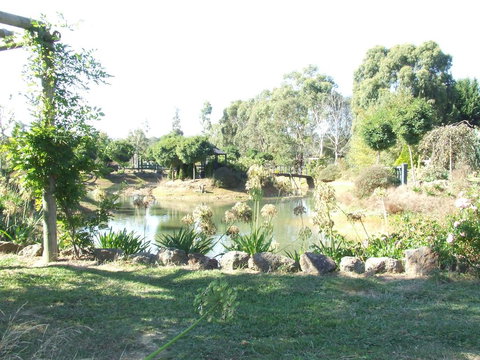Still Waters - QLD Tourism 0