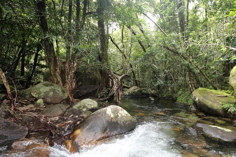 Stonewood Views - Queensland Tourism 1