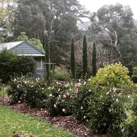 Summerhill Farm B&B - QLD Tourism 3