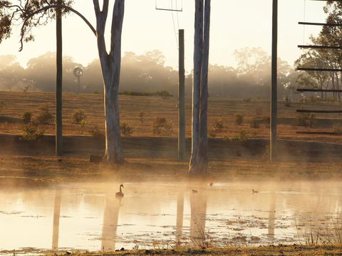Susan River Homestead - Queensland Tourism 3