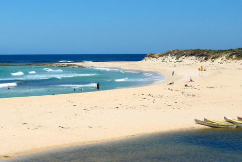 Tea Tree - QLD Tourism 2