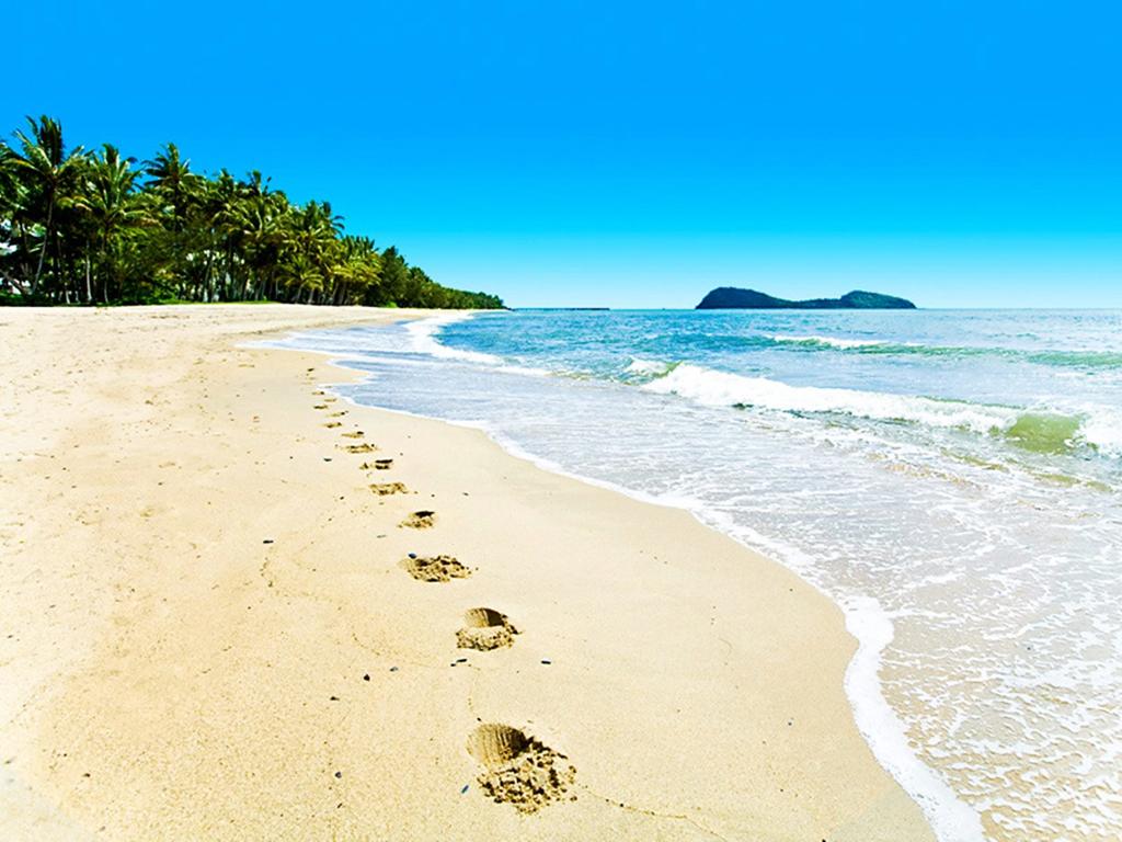 Palm Cove QLD QLD Tourism