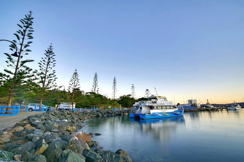 The Beach Retreat Eden - Queensland Tourism 2
