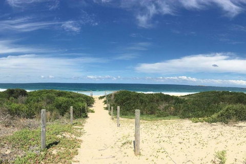 The Beach Shack - Queensland Tourism 1