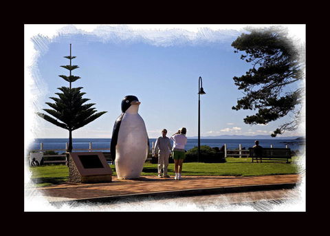 Penguin Beachfront Apartments - Queensland Tourism 13
