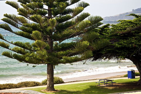 Penguin Beachfront Apartments - Queensland Tourism 9