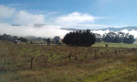 Birch Lane - Queensland Tourism 30