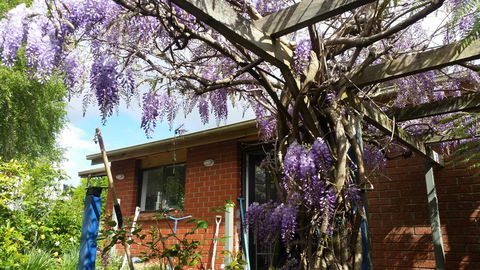 Birch Lane - Queensland Tourism 42