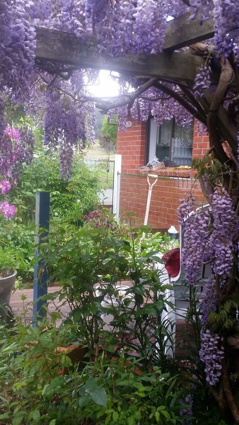 Birch Lane - Queensland Tourism 41