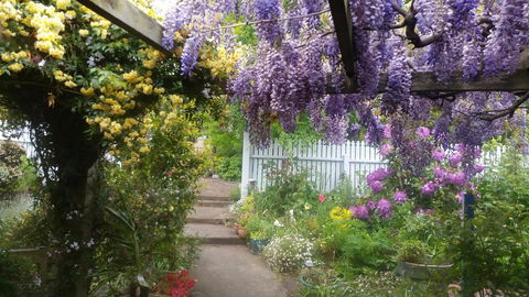 Birch Lane - Queensland Tourism 20