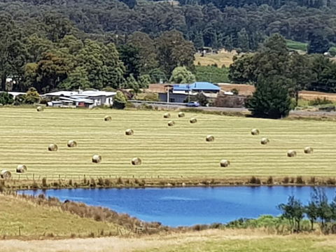 Birch Lane - Queensland Tourism 4