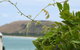 Ellie\'s Cottages - thumb 3