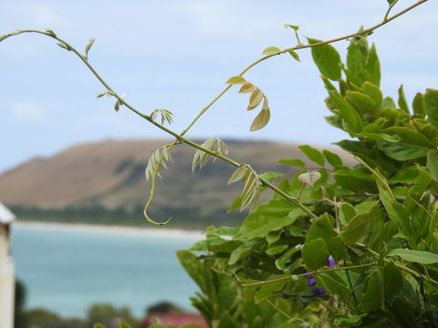 Ellie\'s Cottages - QLD Tourism 3