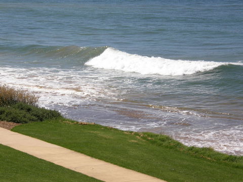 Penguin Waterfront Escape - Queensland Tourism 13