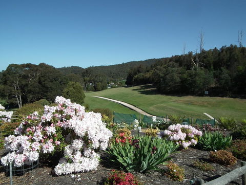 Harlea - Queensland Tourism 16