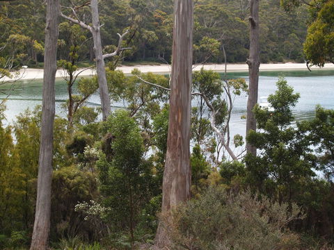 Stewarts Bay Lodge - QLD Tourism 23