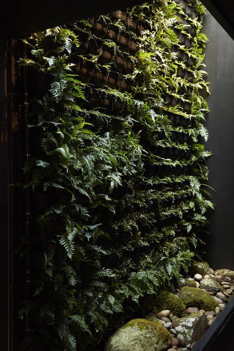 Moss Hotel - QLD Tourism 2