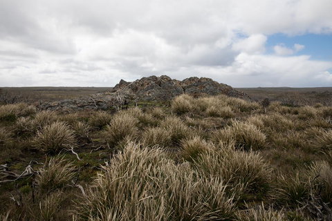 Arthur Riverfront And Sea Lodge Downstream - QLD Tourism 34