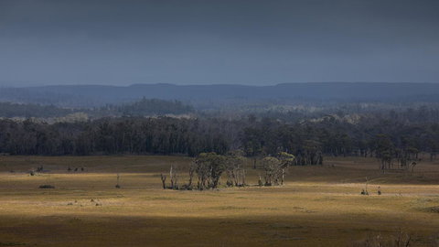 Arthur Riverfront And Sea Lodge Downstream - QLD Tourism 42