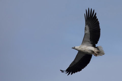 Arthur Riverfront And Sea Lodge Downstream - QLD Tourism 37