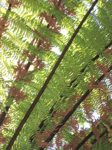 Arthur Riverfront And Sea Lodge Downstream - QLD Tourism 31