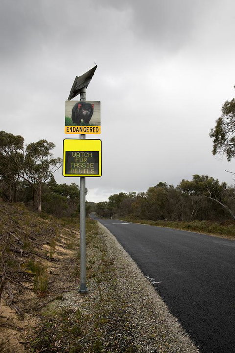 Arthur Riverfront And Sea Lodge Downstream - QLD Tourism 39