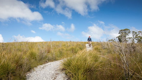 Arthur Riverfront And Sea Lodge Downstream - QLD Tourism 35