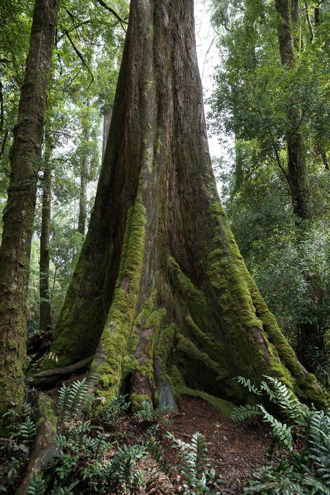 Arthur Riverfront And Sea Lodge Downstream - QLD Tourism 33
