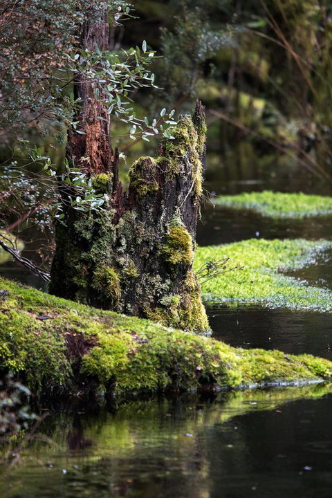 Arthur Riverfront And Sea Lodge Downstream - QLD Tourism 30